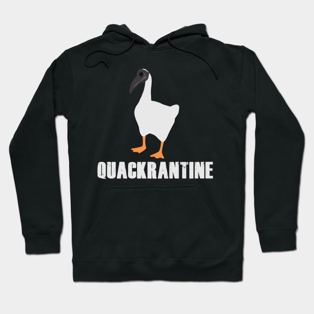 Quackrantine - Funny Quarantine Goose Hoodie by giovanniiiii